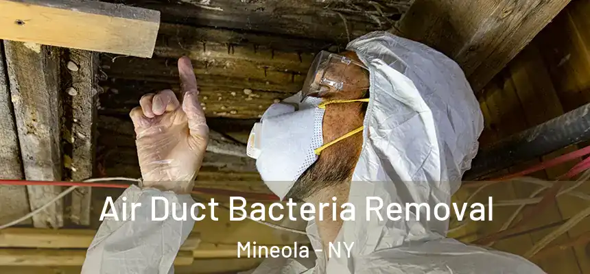 Air Duct Bacteria Removal Mineola - NY