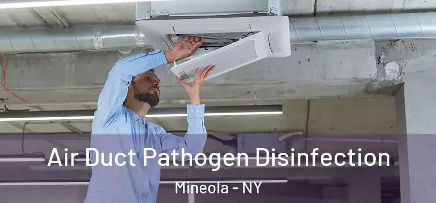 Air Duct Pathogen Disinfection Mineola - NY