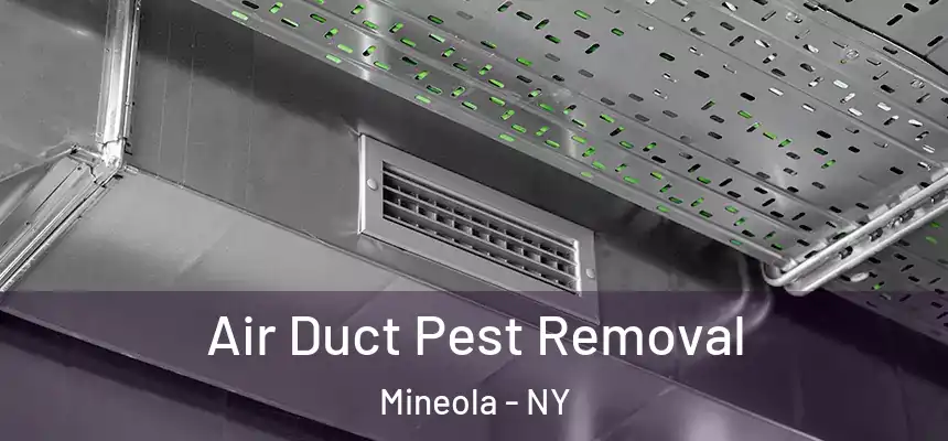  Air Duct Pest Removal Mineola - NY