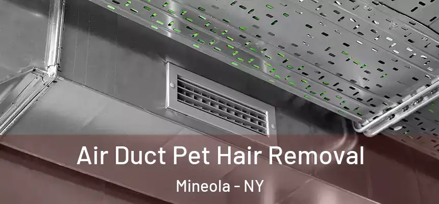  Air Duct Pet Hair Removal Mineola - NY