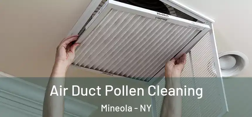  Air Duct Pollen Cleaning Mineola - NY