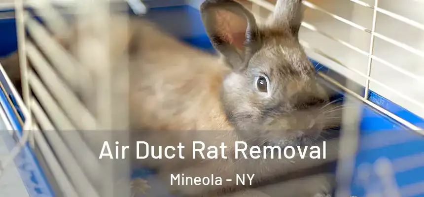  Air Duct Rat Removal Mineola - NY
