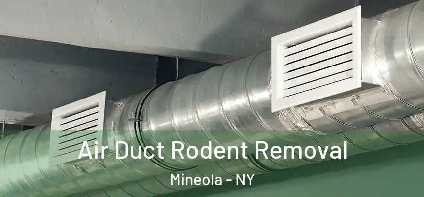Air Duct Rodent Removal Mineola - NY
