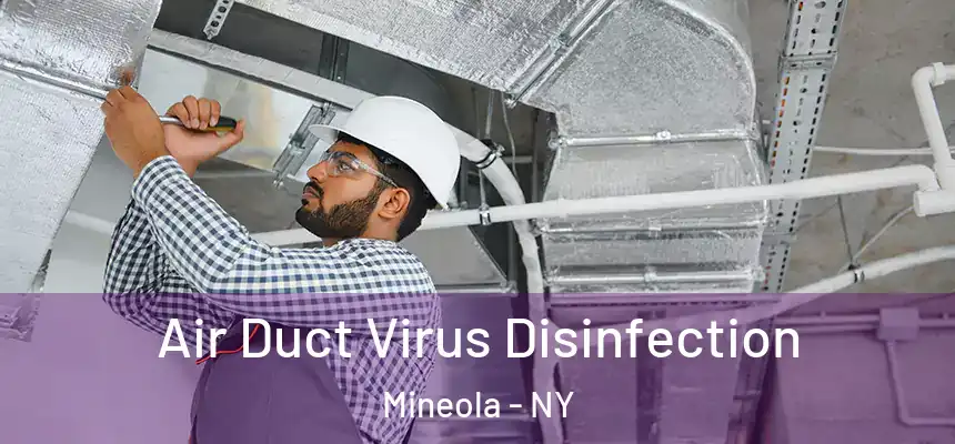 Air Duct Virus Disinfection Mineola - NY
