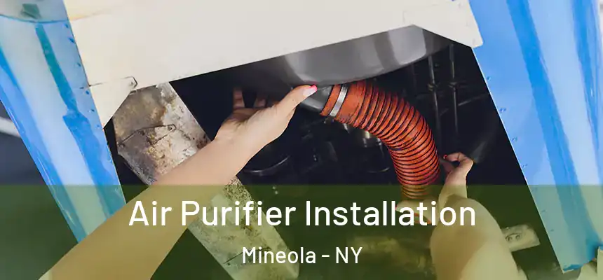  Air Purifier Installation Mineola - NY