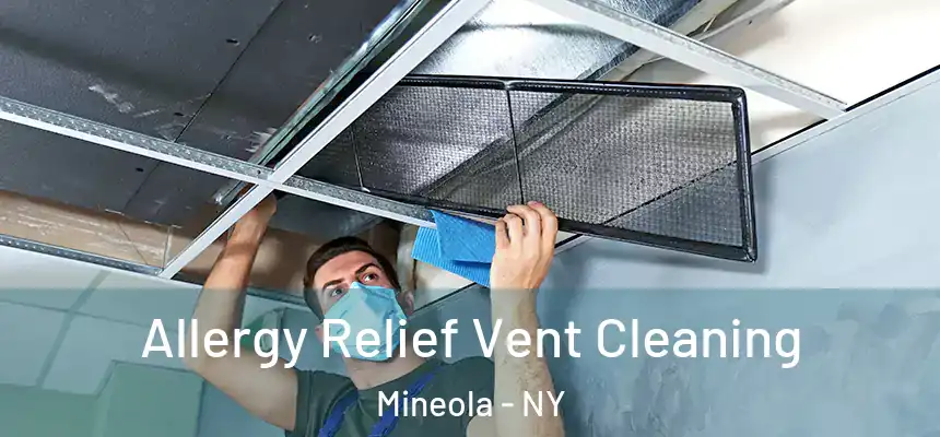  Allergy Relief Vent Cleaning Mineola - NY