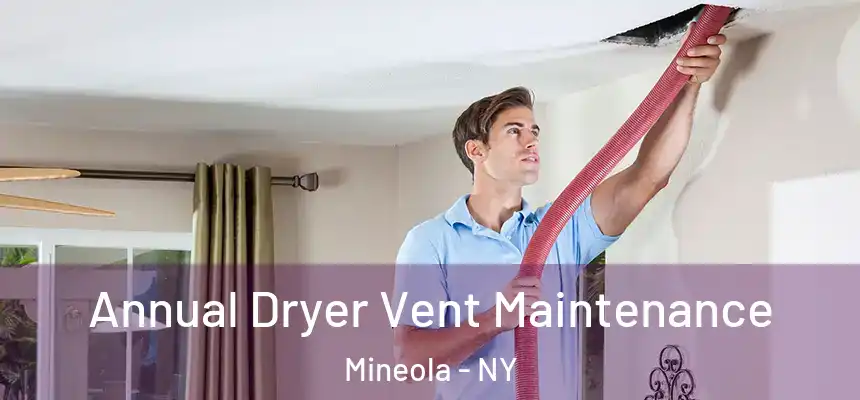  Annual Dryer Vent Maintenance Mineola - NY