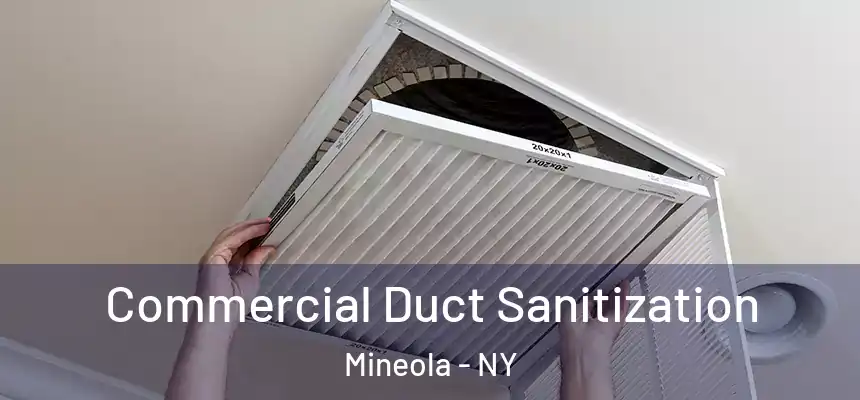  Commercial Duct Sanitization Mineola - NY
