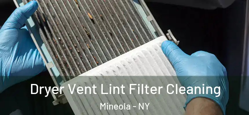  Dryer Vent Lint Filter Cleaning Mineola - NY
