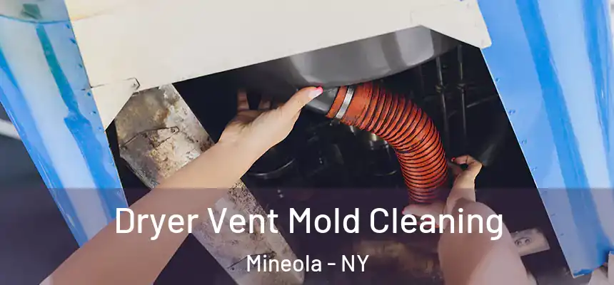  Dryer Vent Mold Cleaning Mineola - NY