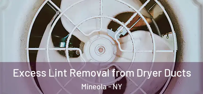  Excess Lint Removal from Dryer Ducts Mineola - NY