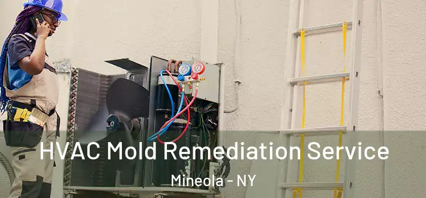  HVAC Mold Remediation Service Mineola - NY