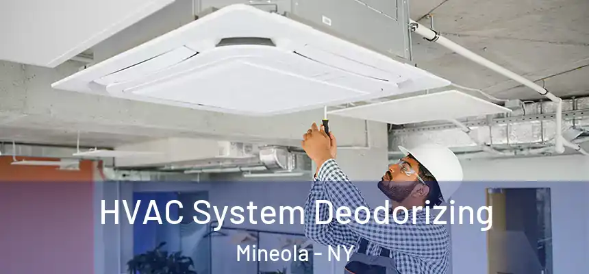  HVAC System Deodorizing Mineola - NY