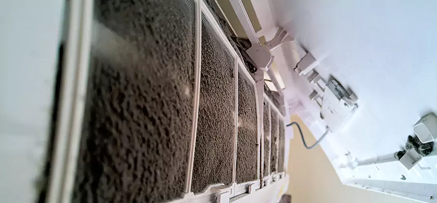 Preventive Air Duct Bacteria Removal in Mineola