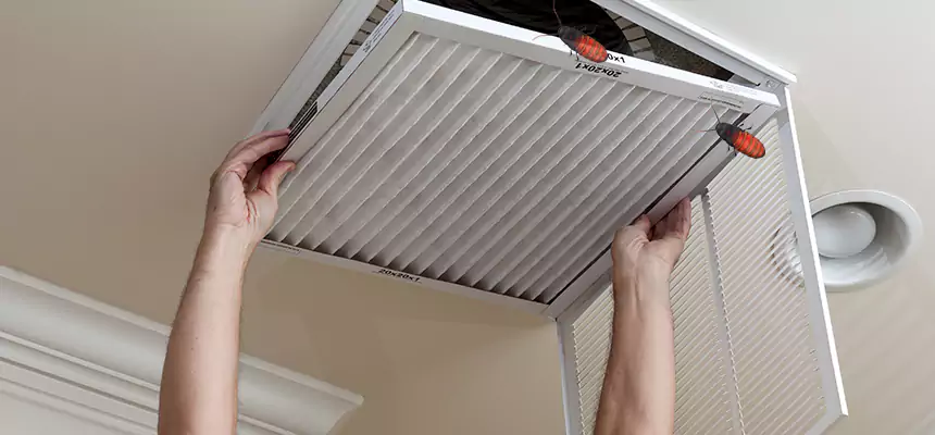 Preventive Cockroach-Proofing for Ducts in Mineola