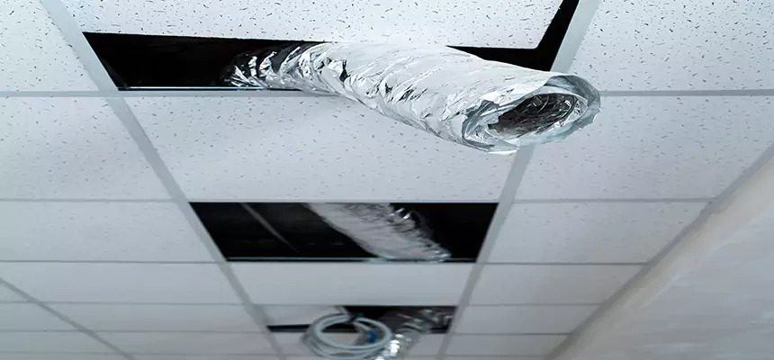 Our Air Duct Pet Hair Removal Services in Mineola, NY