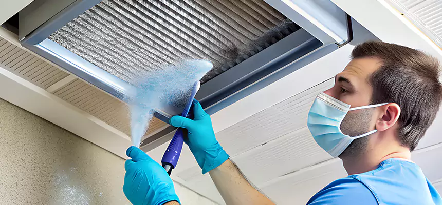 Proactive Dryer Vent & Auxiliary Duct Pollen Cleanup in Mineola, NY
