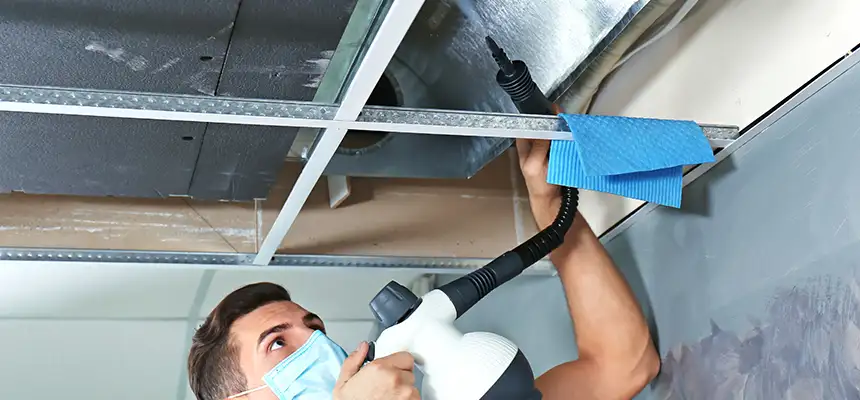 Our Air Duct Rodent Removal Services in Mineola, NY