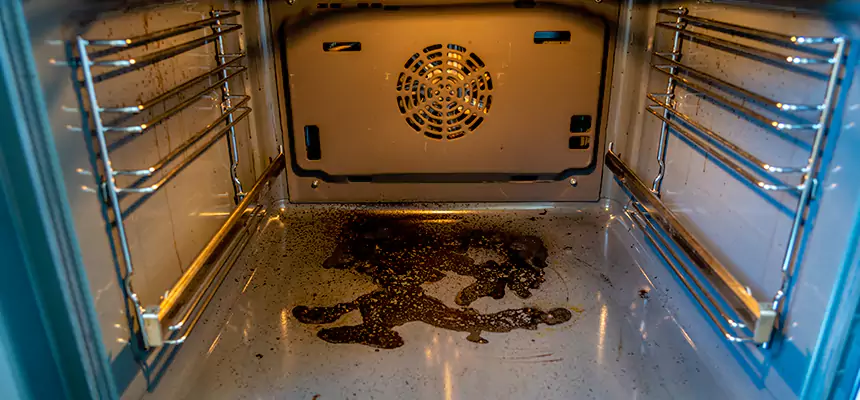 Our Dryer Vent Mold Cleaning Services in Mineola, NY