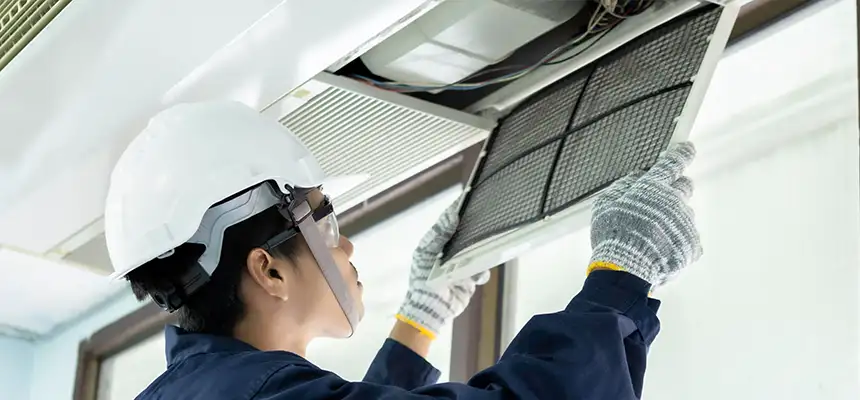 Our Lint Trap Cleaning Service Services in Mineola, NY