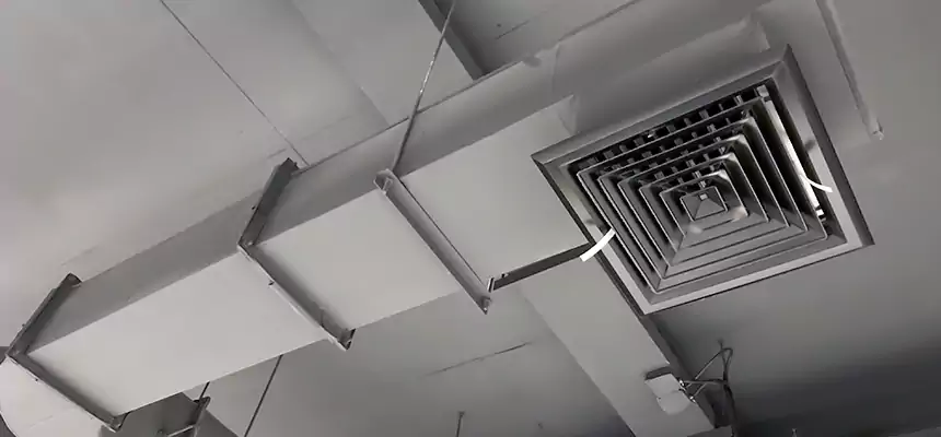 Our Pest Removal From Ducts Services in Mineola, NY