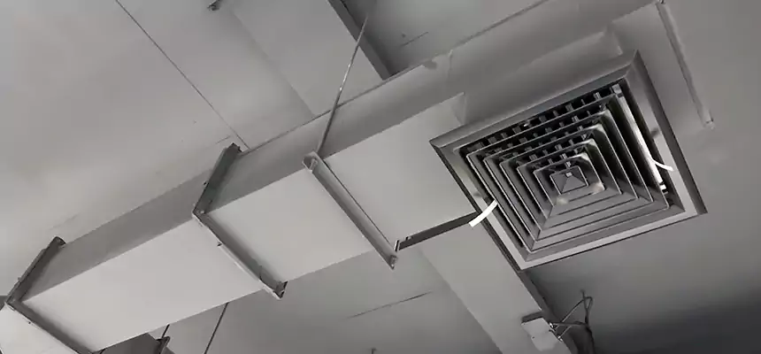 Our Rodent Droppings In Vents Services in Mineola, NY