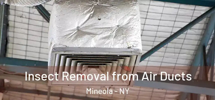  Insect Removal from Air Ducts Mineola - NY