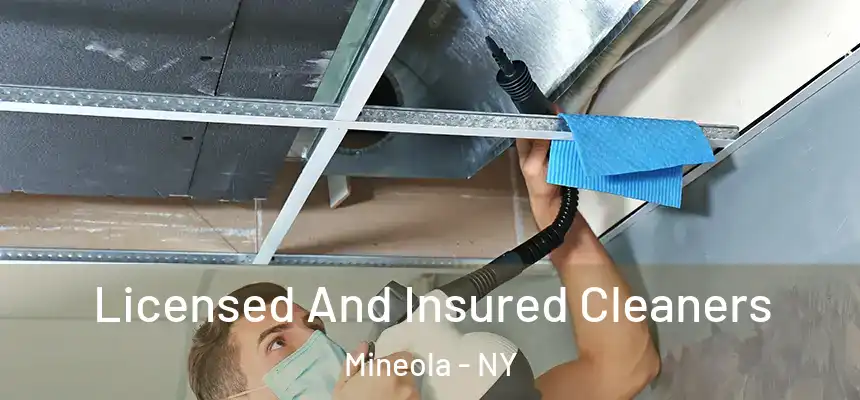  Licensed And Insured Cleaners Mineola - NY