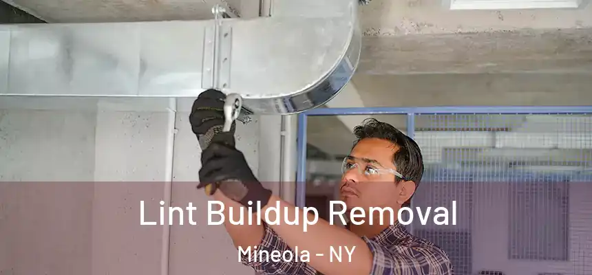  Lint Buildup Removal Mineola - NY