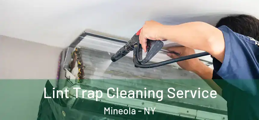  Lint Trap Cleaning Service Mineola - NY