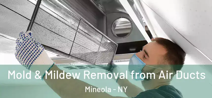  Mold & Mildew Removal from Air Ducts Mineola - NY
