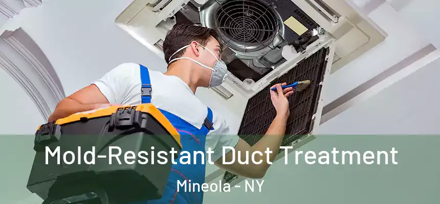 Mold-Resistant Duct Treatment Mineola - NY