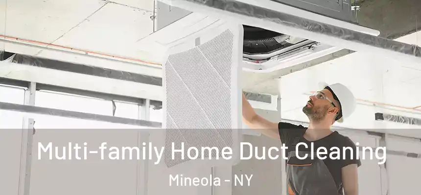  Multi-family Home Duct Cleaning Mineola - NY