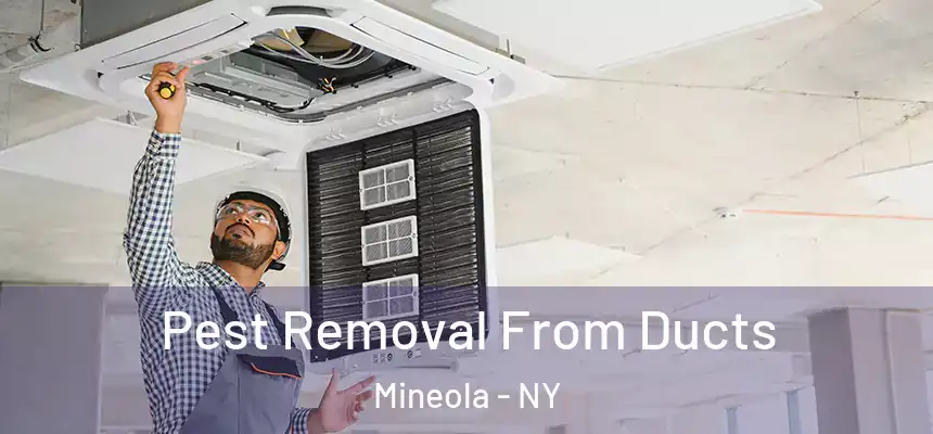  Pest Removal From Ducts Mineola - NY
