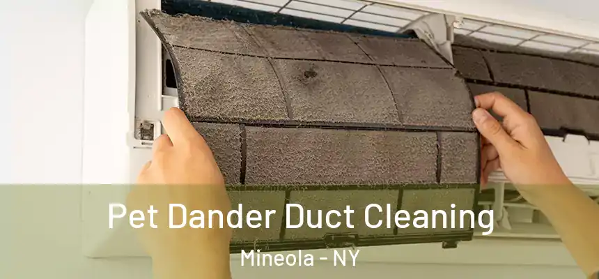  Pet Dander Duct Cleaning Mineola - NY