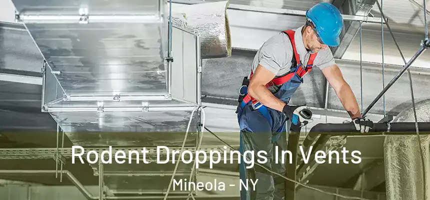  Rodent Droppings In Vents Mineola - NY