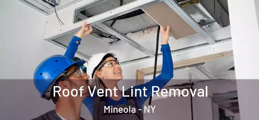  Roof Vent Lint Removal Mineola - NY