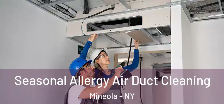 Seasonal Allergy Air Duct Cleaning Mineola - NY