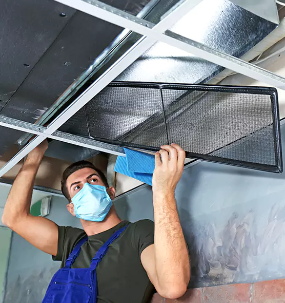 About Air Duct Bacteria Removal in Mineola