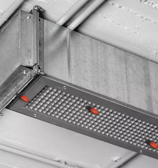 About Air Duct Cockroach Removal in Mineola, NY