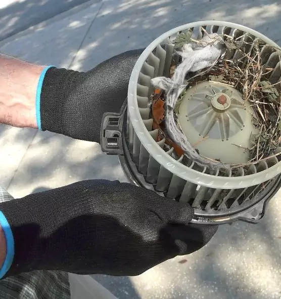 About Air Duct Mice Removal in Mineola, NY