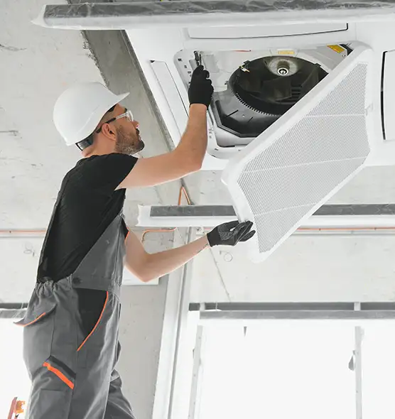 About Air Duct Rodent Removal in Mineola, NY