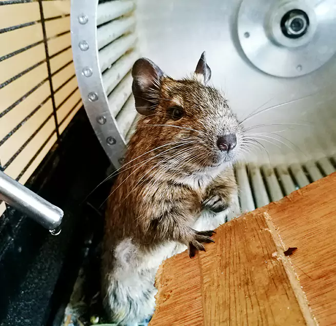 Why Homeowners & Businesses Trust Us Mineola, NY