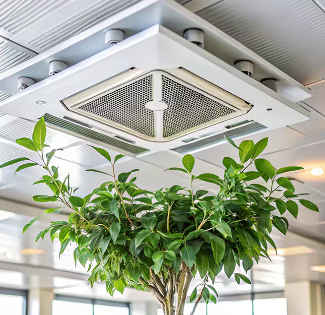 Why Homeowners & Businesses Trust Us in Mineola, NY?