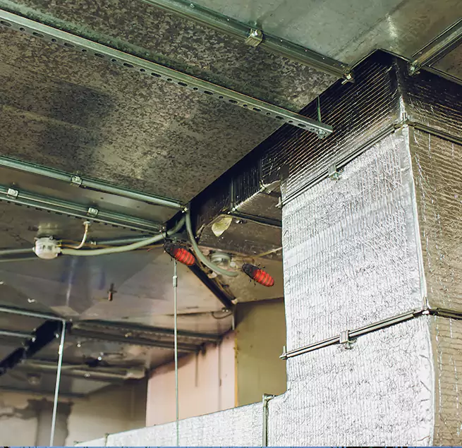 Why Homeowners & Businesses Trust Us Mineola, NY?