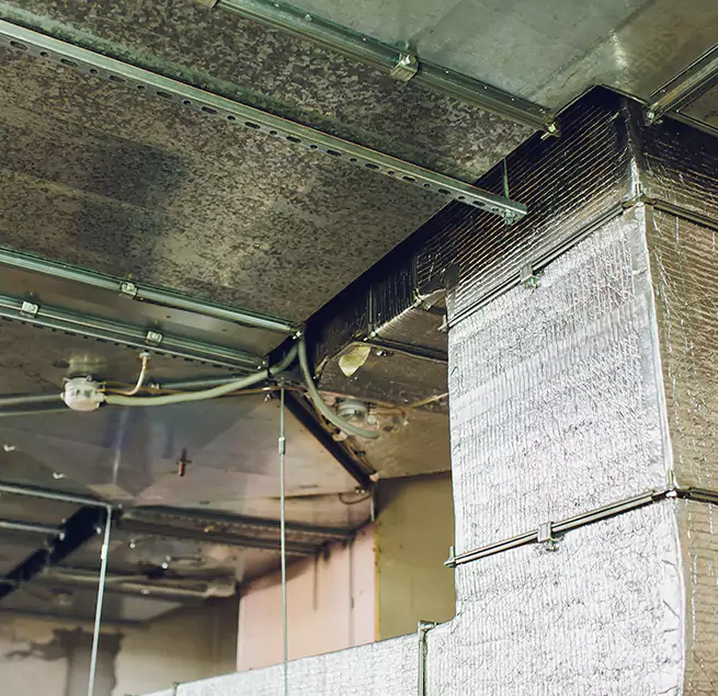 Why Homeowners & Businesses Trust Us in Mineola, NY?