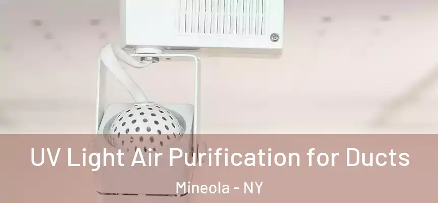  UV Light Air Purification for Ducts Mineola - NY